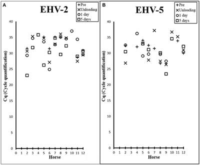 Equine Transport and Changes in Equid Herpesvirus' Status